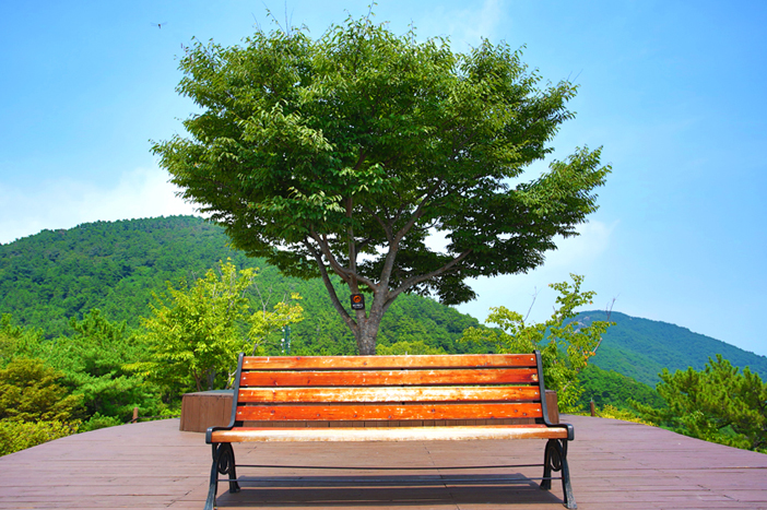 Aussichtsplattform im Dara-Park