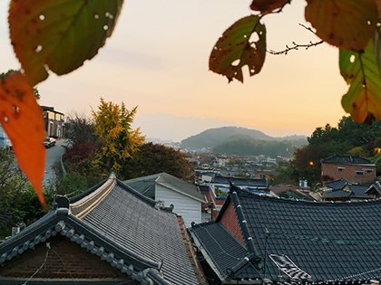 [Jeonju, Gyodong Gaon] Fall Trip to Jeonju – off the Main Hanok Village Attractions