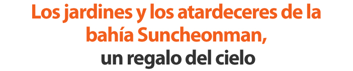 Los jardines y los atardeceres de la bahía Suncheonman, un regalo del cielo