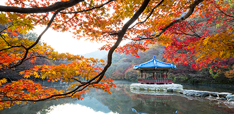 Korea’s BEST 5 Fall Foliage Sites
