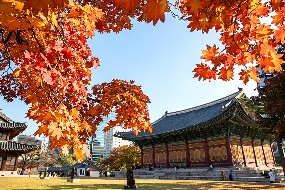 紅葉が美しいソウル中心部にある徳寿宮