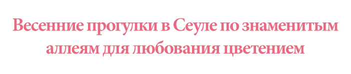 Весенние прогулки в Сеуле по знаменитым аллеям для любования цветением)