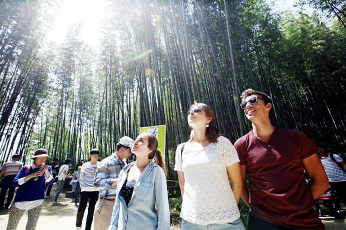 Damyang Bamboo Festival (Credit: Damyang Bamboo Festival Committee)