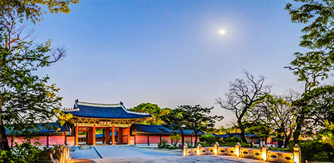 月光下漫游古宫——昌德宫月光之旅