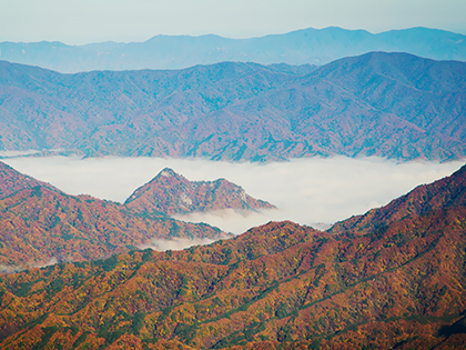 [Sokcho, With U]Breathing Nature in Sokcho