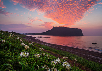 Korea Railroad Co., (KORAIL)