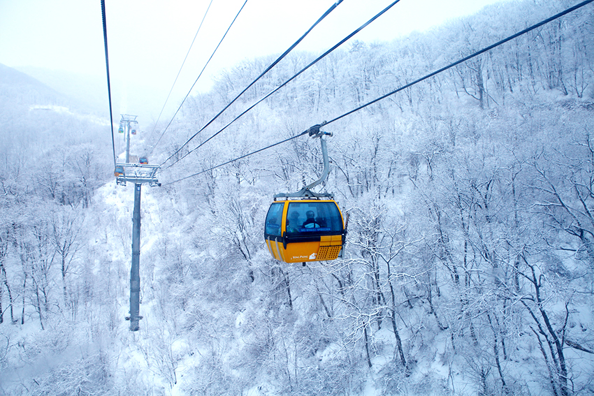 step by step,冬季滑雪场完全征服手册!   旅游专栏  