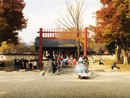 [Jeonju, Arirang Hotel] Jeonju: A City in Fall