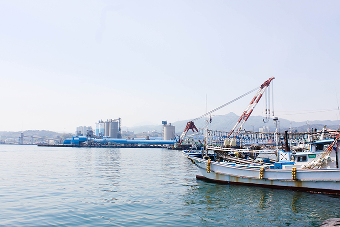 照片) 墨湖港全景