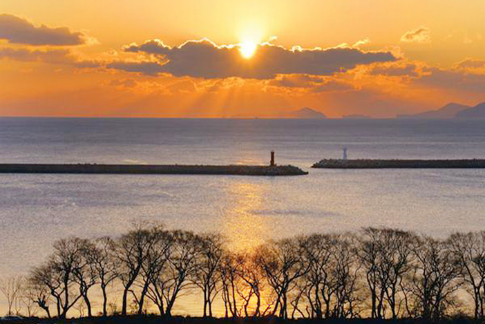 防潮魚付林日落景色和沿途風景(圖片來源: 南海郡(上圖)/南海未來新聞社(下圖))