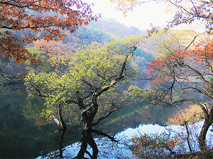 [Cheongsong, Minyechon] Juwagsan National Park: Four seasons getaways