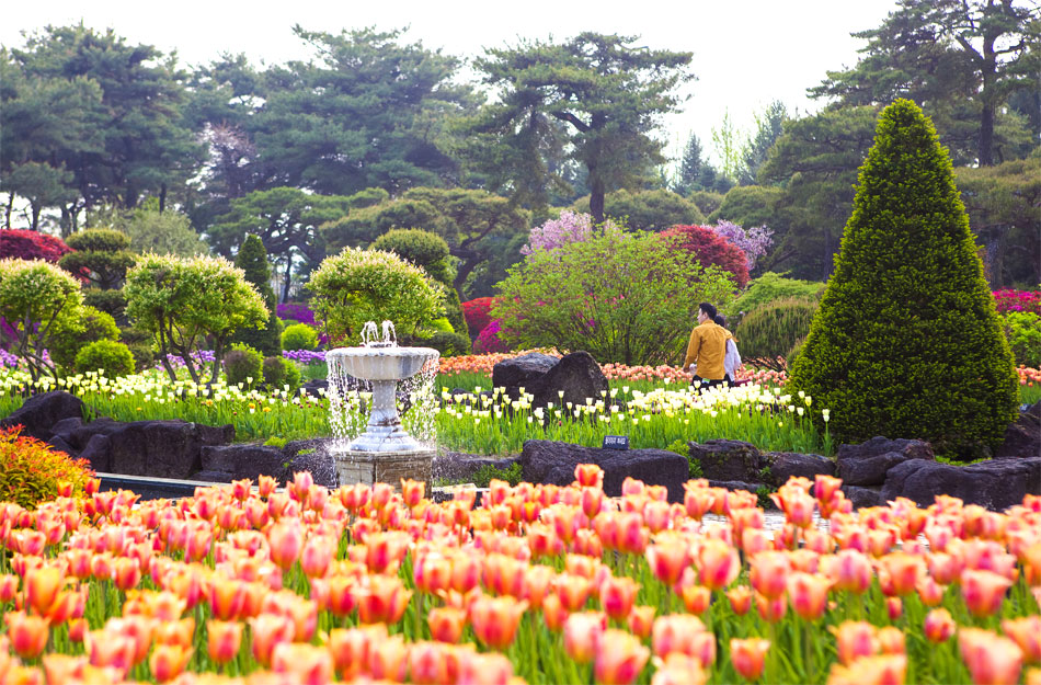 The Botanical Garden BCJ