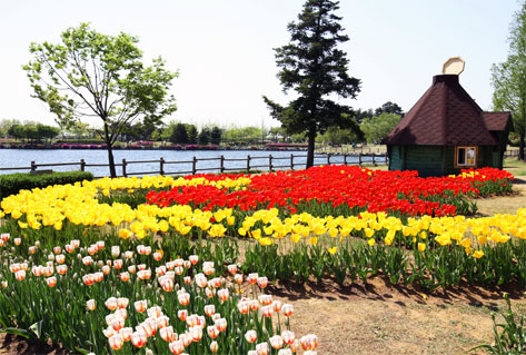 Ilsan Lake Park (Credit: Gyeonggi Tourism Organization)