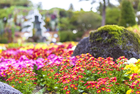 The Botanical Garden BCJ (Byukchoji)