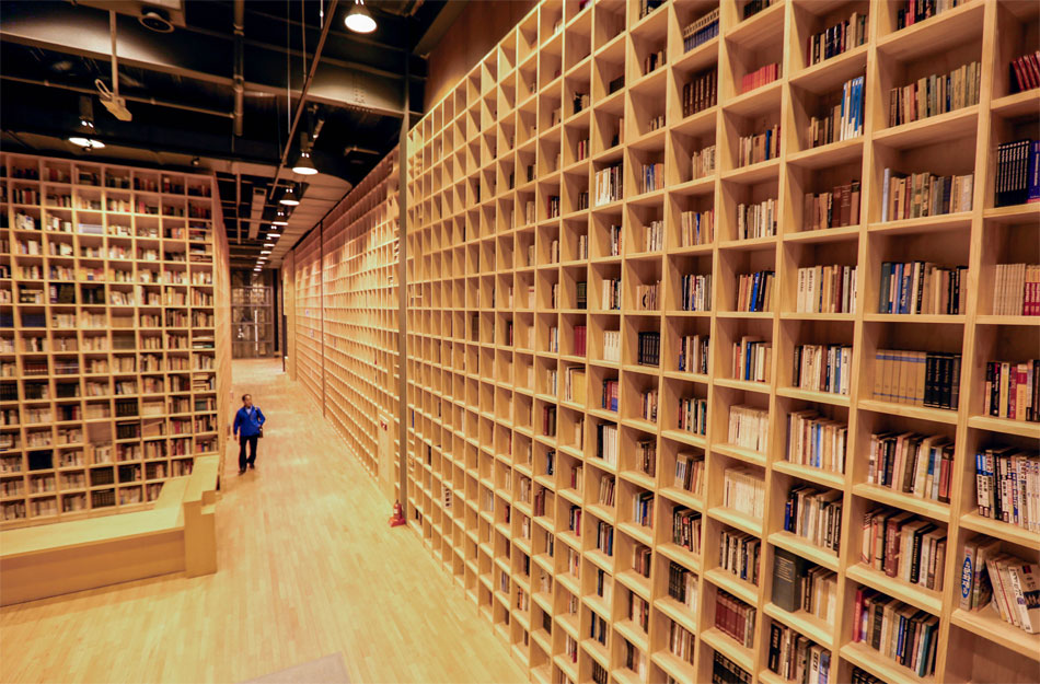 Forest of Wisdom library (Credit: Forest of Wisdom)
