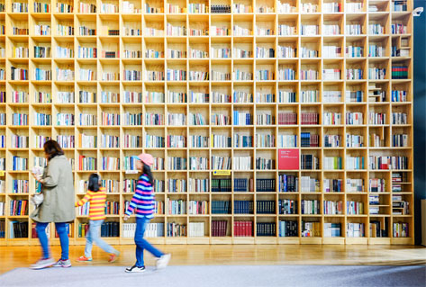 Forest of Wisdom library (Credit: Forest of Wisdom)