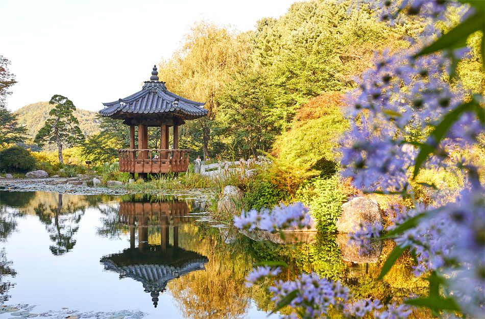 The Garden of Morning Calm