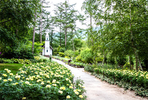 The Garden of Morning Calm