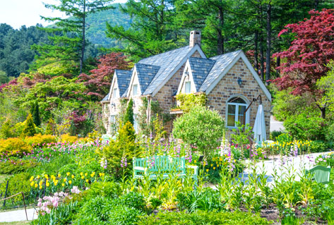 The Garden of Morning Calm