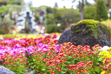 Botanischer Garten Byeokchoji (Quelle: Gyeonggi Tourism Organization)