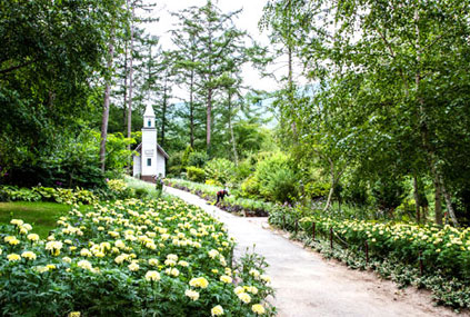 Arboretum Achim Goyo