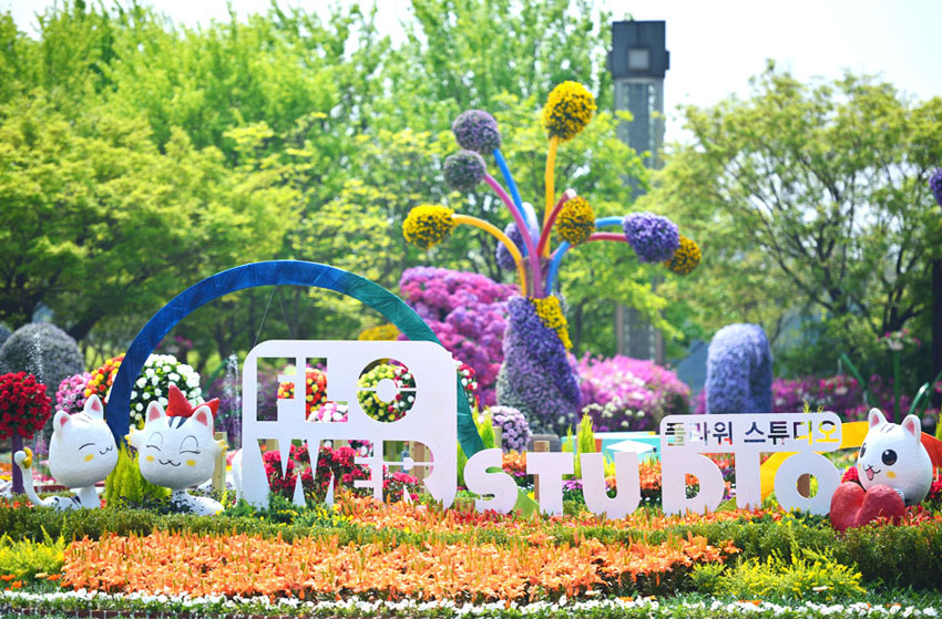 Blumen im Seenpark Ilsan
