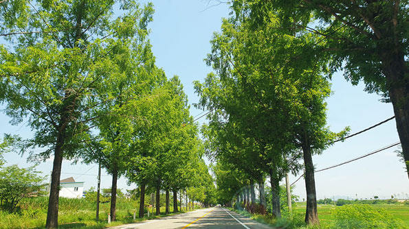 SL型ディーゼル機関車で谷城（コクソン）の風景を満喫する旅