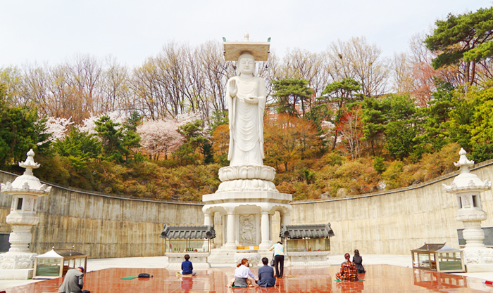 图片) 奉恩寺弥勒大佛