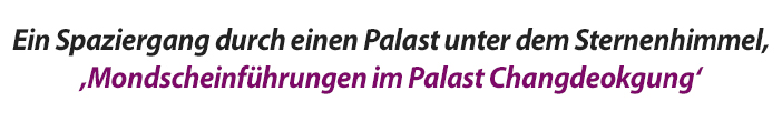 Ein Spaziergang durch einen Palast unter dem Sternenhimmel‚Mondscheinführungen im Palast Changdeokgung‘
