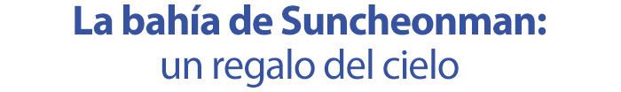 La bahía de Suncheonman: un regalo del cielo
