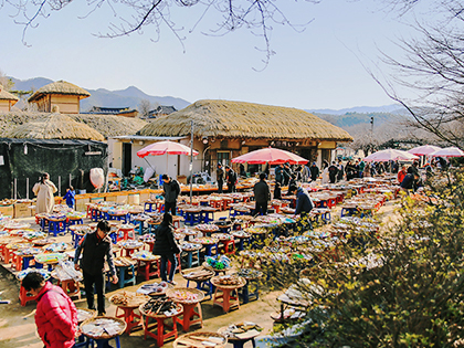 [Andong, Heunghae Bae Imyeonjaejongtaek] Historical gem of Korea