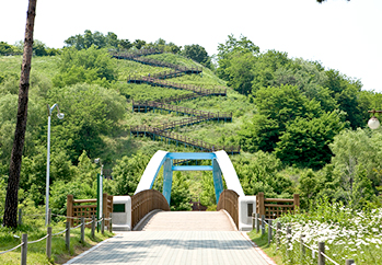 Haneul Park