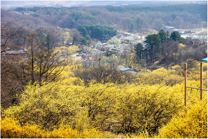 Aldea Sansuyu de Icheon (cortesía del Ayuntamiento de Icheon).