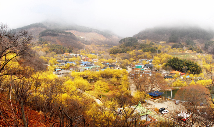 Aldea Hyeoncheon, cortesía del Gobierno de Gurye