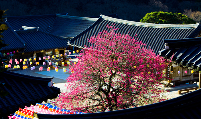 Templo Hwaeomsa