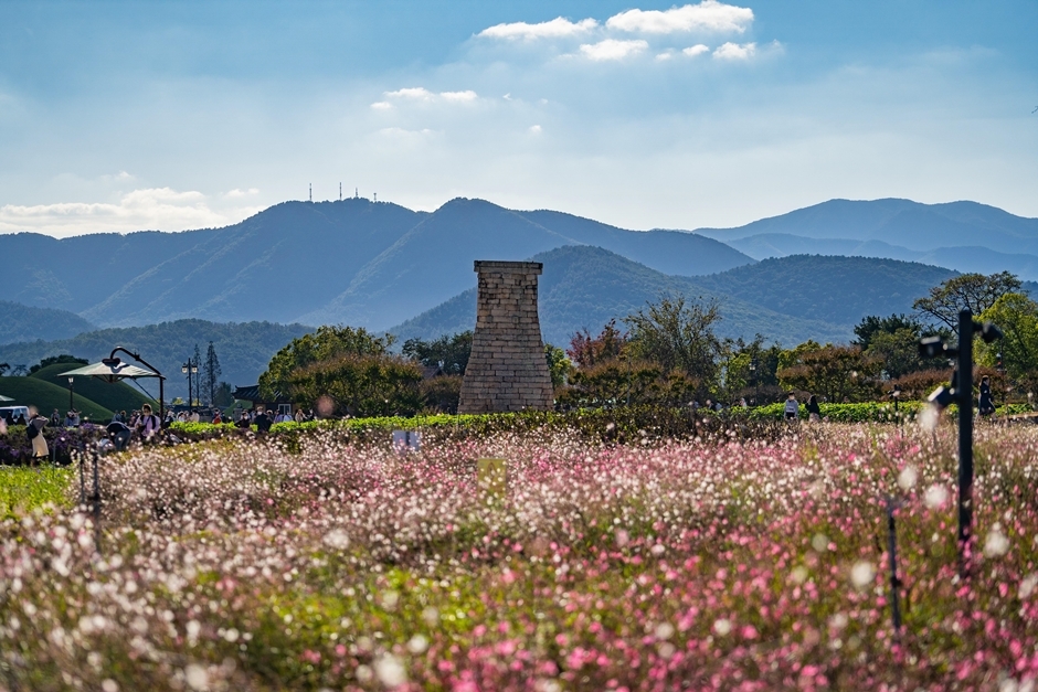 [Gyeongju] See the flowers and autumn colors in the tranquil city of Gyeongju - Rivertain Hotel Gyeongju