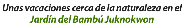 Unas vacaciones cerca de la naturaleza en el Jardín del Bambú Juknokwon