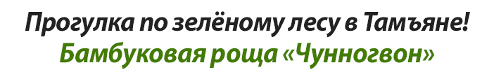 Прогулка по зелёному лесу в Тамъяне! Бамбуковая роща «Чунногвон»