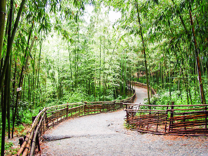 Jardín del Bambú Juknokwon.