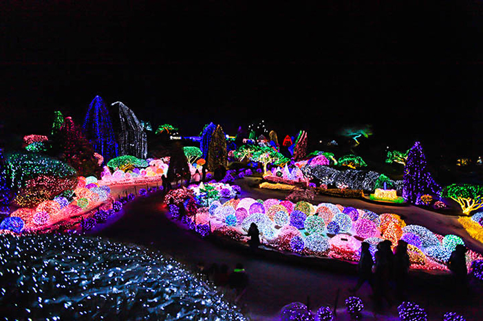 Photo: Scenery of the colorful Lighting Festival (Credit: The Garden of Morning Calm)
