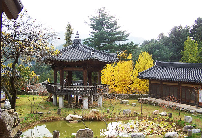 Photo: Scenery of the colorful Lighting Festival (Credit: The Garden of Morning Calm)