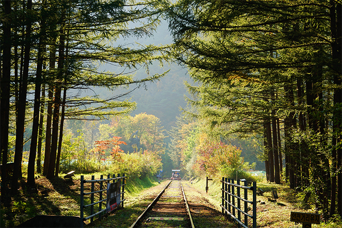 Fall scenes at Jeongseon Railbike