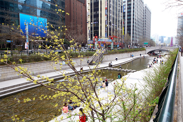 Wasserlauf Cheonggyecheon