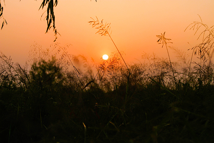 圖片) 彩霞公園的夕陽(西部公園綠地事業所提供)