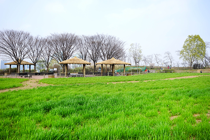 圖片) 天空公園的春季景緻