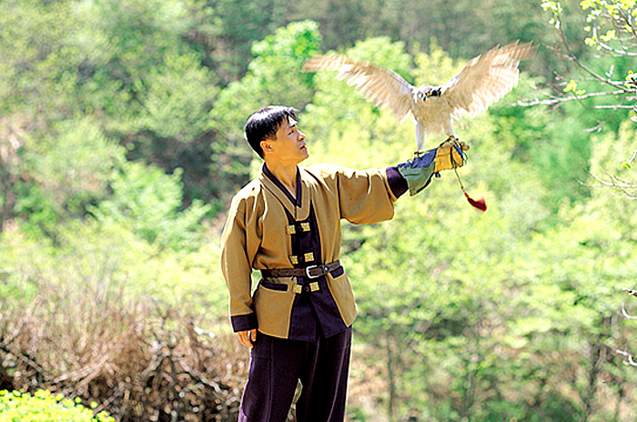 鷹狩り（2010年）