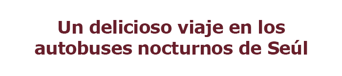 Un delicioso viaje en los autobuses nocturnos de Seúl