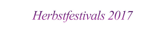 Internationales Feuerwerksfestival Seoul (Quelle: Hanhwa)
