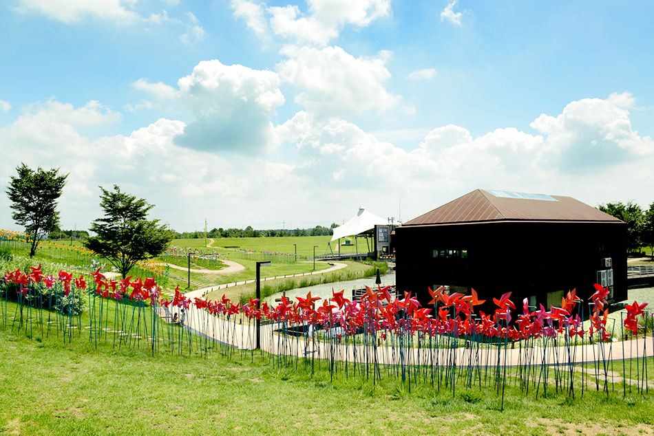 Noeul-Park