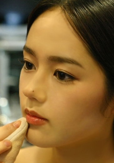 Han Ga-in (한가인)